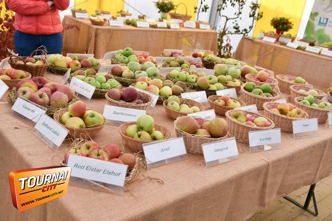 Fête de la pomme - Rongy